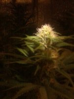 20170513_102855.jpg