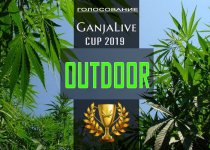 Outdoor 2019.jpg