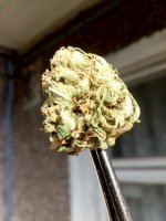 IMG_20170924_160133.jpg