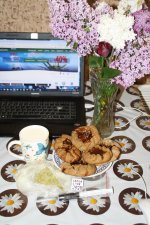 IMG_6145.JPG