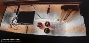 2020-04-25 01-53-00.JPG