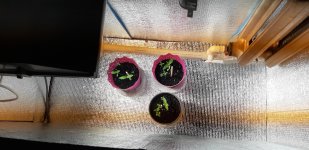 2020-04-25 01-53-08.JPG