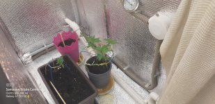 2020-05-06 14-58-01.JPG