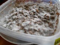 DSCN1700.JPG