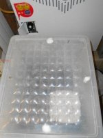 DSCN1702.JPG