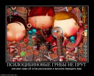 956749_psilotsibinovyie-gribyi-ne-prut.jpg