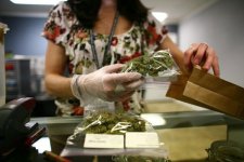 1365928899_cannabis_bagged.jpg