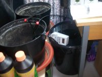100_1809.JPG