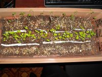 DSCN1711.JPG