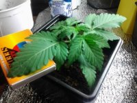 20130415_234854.jpg