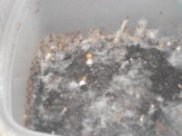 DSCN1720.JPG