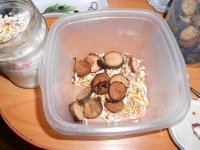 DSCN1723.JPG