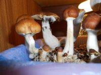 DSCN1748.JPG