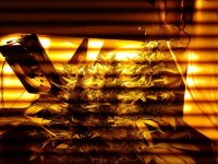 о таки дерева 1.jpg