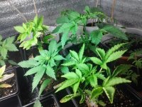 20130419_201330.jpg