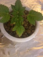 19042013283.jpg