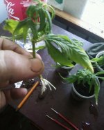 Фото-0136.jpg