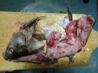 20130425_205923.jpg