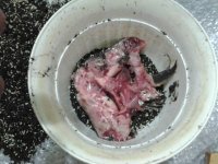 20130425_210013.jpg