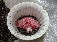 20130425_210632.jpg