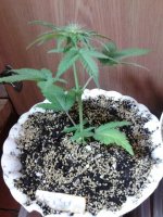 20130425_231438.jpg