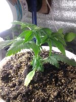 20130427_232708.jpg