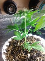 20130427_232722.jpg