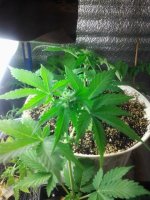 20130427_232802.jpg