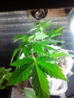 20130427_232833.jpg