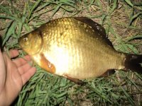 DSC02785.jpg