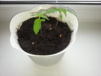 20130504_111905.jpg
