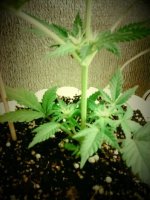 20130505_125526.jpg