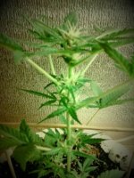 20130505_125602.jpg