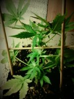 20130505_130833.jpg