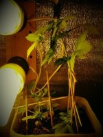 20130505_131155.jpg