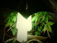 20130505_132523.jpg