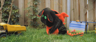 059f8b8489fd (1).gif