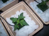 100_2005.JPG