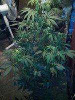 IMG_20130508_235811.jpg