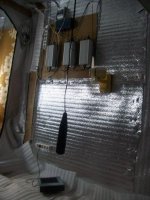 100_2029.JPG