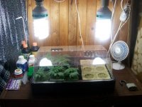 100_2033.JPG