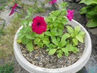 DSCN1798.JPG