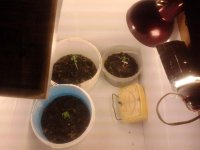 2013-05-18 22.50.29.jpg