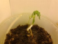 2013-05-18 22.51.05.jpg