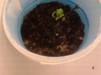 2013-05-18 22.51.17.jpg