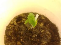 2013-05-18 22.51.34.jpg