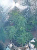 IMG_20130518_231658.jpg