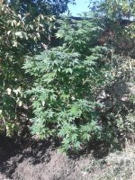 20120916_124019.jpg