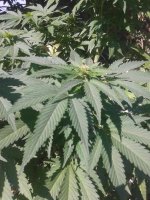 20120916_124024.jpg