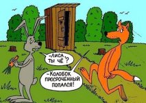 14347471.jpg